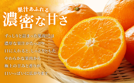 はまさき 約2.5kg 化粧箱入り