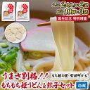 【ふるさと納税】＼期間限定 増量／ 冷凍 小分け 紫波町産 生もちもち姫うどん ＆ もちもち姫餃子 セット (AI013)