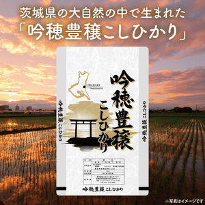 【先行予約 2025年9月より順次発送】 <令和7年産> 新米 吟穂豊穣こしひかり 5kg 精米 コシヒカリ こしひかり 米 ごはん コメ お米 白米 国産 茨城県産_EG007