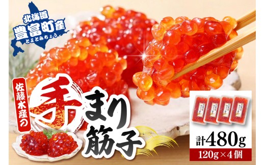 佐藤水産 手まり筋子120g×4個セット 合計480g【KAT-305】