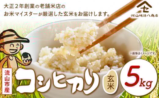 米 コシヒカリ 新川耕地・減農薬コシヒカリ 玄米 5kg《30日以内に発送予定(土日祝除く)》有限会社山崎清八商店 千葉県 流山市 新川耕地 送料無料  st-p