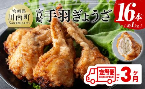 【3ヶ月定期便】宮崎 手羽ぎょうざ 16本 1kg 【 鶏肉 鳥 手羽先 手羽 餃子 ぎょうざ ギョーザ おつまみ 送料無料 】