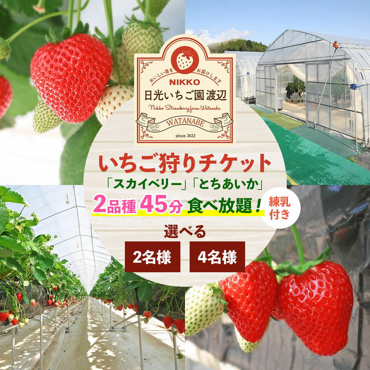 【ふるさと納税】いちご狩りチケット 2名様／4名様「スカイベリー」「とちあいか」2品種45分食べ放題！練乳付き！【日光いちご園 渡辺】｜イチゴ狩り 収穫体験 フルーツ狩り 入園券 観光 旅行 イチゴ 苺 フルーツ 果物 果実 日光市 [0846-0848]