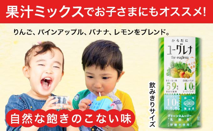【定期便】《6ヶ月》からだにユーグレナ グリーンスムージー乳酸菌 (195g×15本×6回) | ユーグレナ スムージー 健康飲料 乳酸菌飲料 健康 栄養 栄養価 ふるさと 沖縄県 沖縄 石垣 石垣島