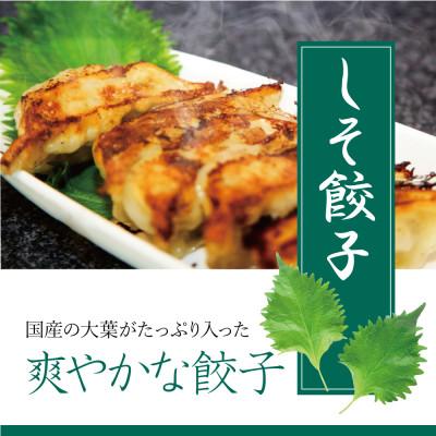 ふるさと納税 箕面市 餃子の惑星の餃子満腹セット【オリジナル72個、しそ18個、ゆず18個】(ほど辛たれ付) |  | 03