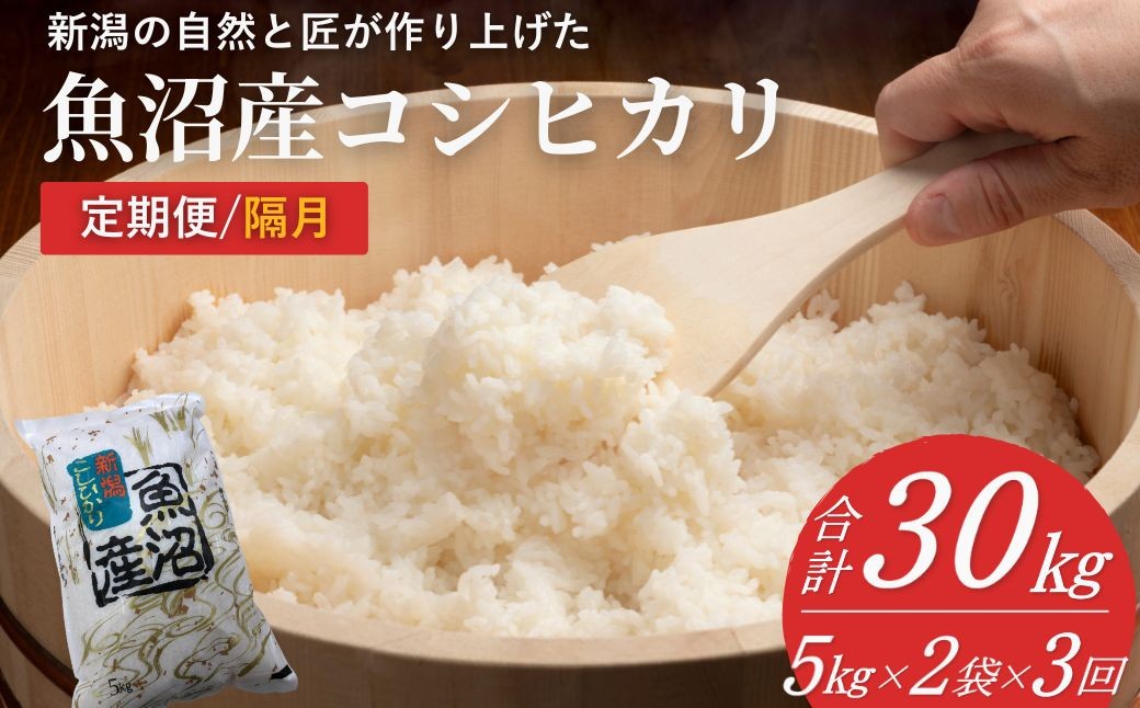 
                  米 コシヒカリ魚沼産コシヒカリ 魚沼コシヒカリ 定期便 計30kg(5kg2袋×3回) 隔月お届け 令和7年産 精米 共栄農工社 | 魚沼産こしひかり 魚沼こしひかり 新潟県産コシヒカリ 新潟産コシヒカリ 新潟県産こしひかり こしひかり 新潟産こしひかり 新潟こしひかり 新潟コシヒカリ お米 白米 おこめ コメ オコメ にいがた 新潟県 小千谷市 【0002-KY22DB00】
                