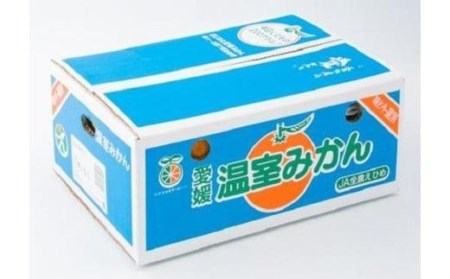 【先行予約】 8月上旬から発送 ハウスみかん 2S～Sサイズ 約5kg（愛媛県産 みかん 蜜柑 オレンジ 柑橘 果物 フルーツ 家庭用 お取り寄せ おすすめ 愛媛県 松山市 ）【FA0682】