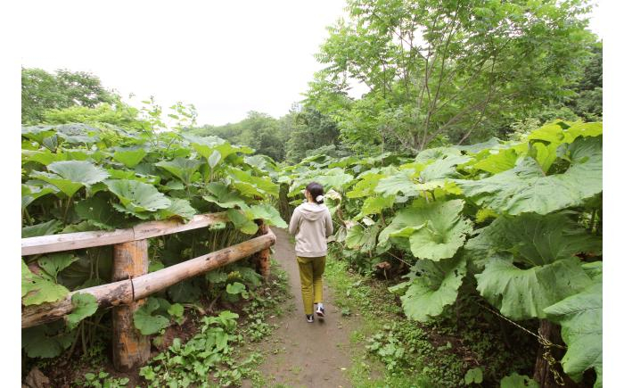 北海道旅行 体験 牧場 焚火 アウトドア 体験型 旅 旅行 イベント オンネトー