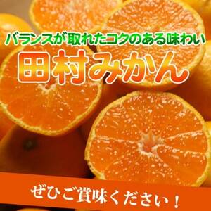 【2024年11月下旬より発送】【日高町】高級ブランド田村みかん　10kg【1217360】
