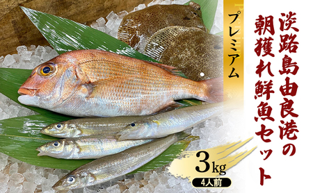 鮮魚セット 3kg 4人前 淡路島産 朝獲れ 鮮魚セット