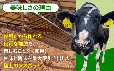 【先行予約】モーモーアスパラ夏芽 L・M 1.2kg（6月中旬より順次発送） 食べやすい太さの2種セット 1.2kg 日田市 / 有限会社本川牧場[ARAI038]