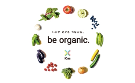 いかす有機トマトジュース（6本入り） トマトジュース 野菜飲料 野菜ジュース 有機 アイコ ミニトマト 甘み 酸味 飲みごたえ 贅沢な味わい 