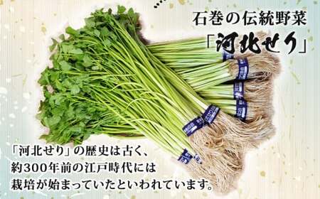 【11月21日発送】せり鍋 セット 2-3人前 せり 長ねぎ パックご飯 スープ 鶏肉 セリ セリ鍋 河北せり 野菜 鍋