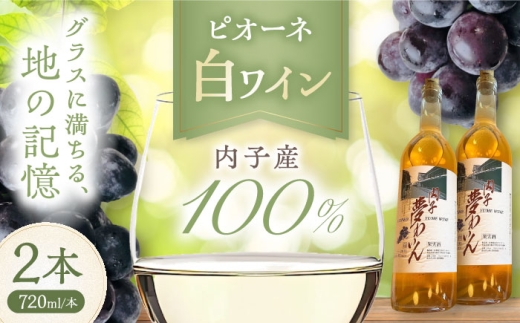 内子夢わいん 白ワイン (ピオーネ) 約720ml 2本 / ワイン 白ワイン ピオーネ わいん wine お酒 酒 洋酒 愛媛県 愛媛 内子町 国産ワイン 日本ワイン 果実酒 送料無料 人気 家飲み 宅飲み 美味しい 【企業組合内子ワイナリー】 [BKAG009]
