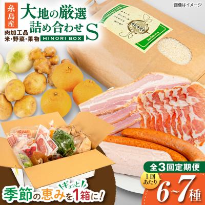 ふるさと納税 糸島市 全3回定期便 糸島産 肉 米 野菜 果物 厳選詰め合わせ MINORI BOX S [AOP008]