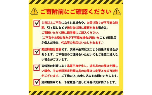 【 2026年先行予約 】 ぶどう クイーンニーナ 2房 約 1kg 以上 ブドウ 葡萄 糖度 種なし 種無し 甘い 濃厚 クイーン ニーナ 赤ぶどう 産地直送 季節の果物 季節のフルーツ フルーツ 果物 くだもの ギフト プレゼント 贈り物 デザート スイーツ 旬 おすすめ 千葉県 旭市 たかの果樹園 tke011