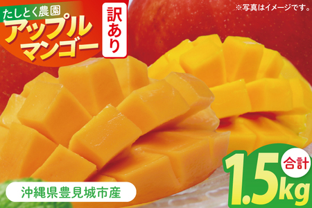 【2026年6月下旬より順次発送】★訳あり★沖縄県豊見城市産アップルマンゴー 約1.5kg (DJ006)