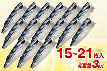 訳あり 減塩 無添加 塩サバ フィレ Mサイズ 総重量 3kg (15-21枚入) 