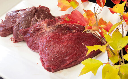 エミュー肉ステーキ 600g（150g×4枚） / 高タンパク 高鉄分 ヘルシー / 佐賀県 / 株式会社きやまファーム[41ALAA002]