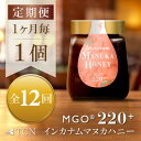 【ふるさと納税】【毎月定期便】インカナム マヌカハニー【MGO220+】250g×1個　全12回【4050106】