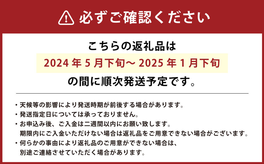 【竹田市産】高原トマト 4kg (約16～24個) 【ベジスタとまとちゃん】