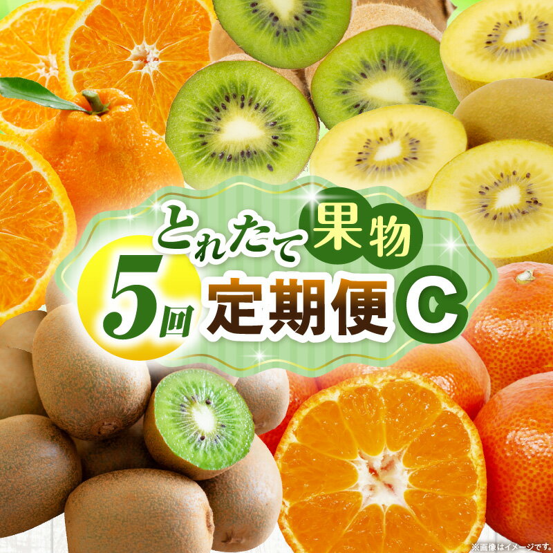 【ふるさと納税】とれたて果物 5回定期便C 果物 フルーツ 果物定期便 フルーツ定期便 定期便 5回 キウイ デコポン みかん 濃厚 旬の果物 5回定期便 ギフト 定期 人気 おすすめ 贈答 贈り物 青果物 糖度 香川県 三木町 送料無料 レビューキャンペーン