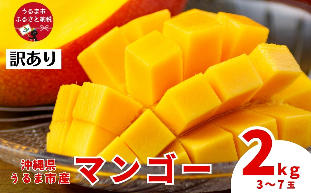 
沖縄県 うるま市産 完熟 マンゴー 訳あり品 2kg
