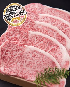 最上級Ａ５ランクオレイン５５　牛サーロインステーキ（小）約200g×２　肉 牛肉 和牛 鳥取和牛 国産 サーロイン ステーキ 肉 牛肉 和牛 鳥取和牛 国産 サーロイン ステーキ 肉 牛肉 和牛 鳥取