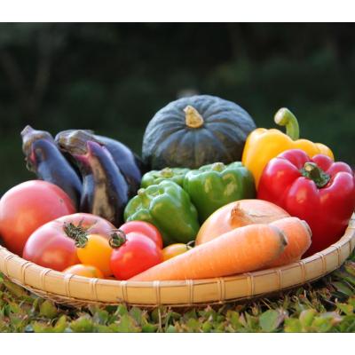 ふるさと納税 鮫川村 季節の野菜セット(10〜15種)