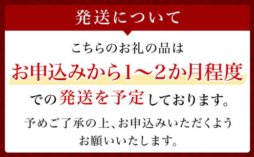 CLINIQUE イーブン ベター アクティブ ブースター セラム〈医薬部外品〉30mL × 2個【 クリニーク CLINIQUE 導入美容液 公式 正規品 エスティローダー Estee Lauder