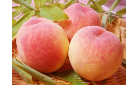 【無添加】桃ジャム・柚子（ゆず）マーマレードセット（各2個） ｜ 桃 赤桃 柚子 ゆず ジャム マーマレード 文部科学大臣賞 受賞 マツノイズムプロジェクト マツノイズム 愛媛県 松野町 高校生 特産