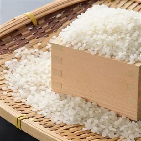 【特A・1等級】北海道産ななつぼし 白米5kg 北海道長沼町産_ 精米 米    ななつぼし 米 _【配送不可地域：離島】【1263654】