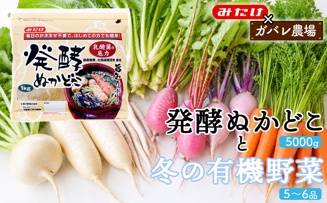 
                  【コラボF】発酵ぬかどこ1kg×5＆冬の有機野菜5～6品 ／ ぬか漬け ぬかどこ 発酵ぬかどこ 有機野菜 旬野菜 冬野菜 野菜セット 漬物 手作り 簡単調理 かき混ぜ不要 発酵食品 常備菜 一品追加 食卓 埼玉県 特産品 No.621
                