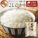 【ふるさと納税】『定期便』全3回 コシヒカリ 精米 3kg 大朝の米こしひかり 栄ファーム 毎月届く定期便 米どころ北広島町のおいしいお米