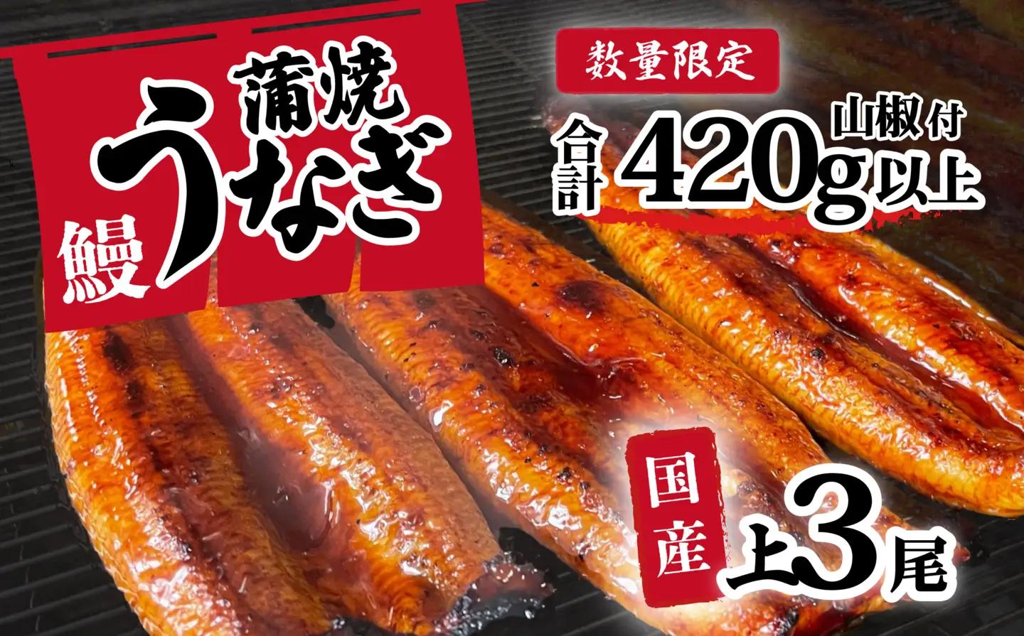 【国産】うなぎ  蒲焼き 訳ありウなぎ 3尾 420g ウナギ 冷凍