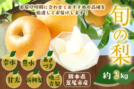 梨 先行予約 旬の梨 約2kg フレッシュフーズ