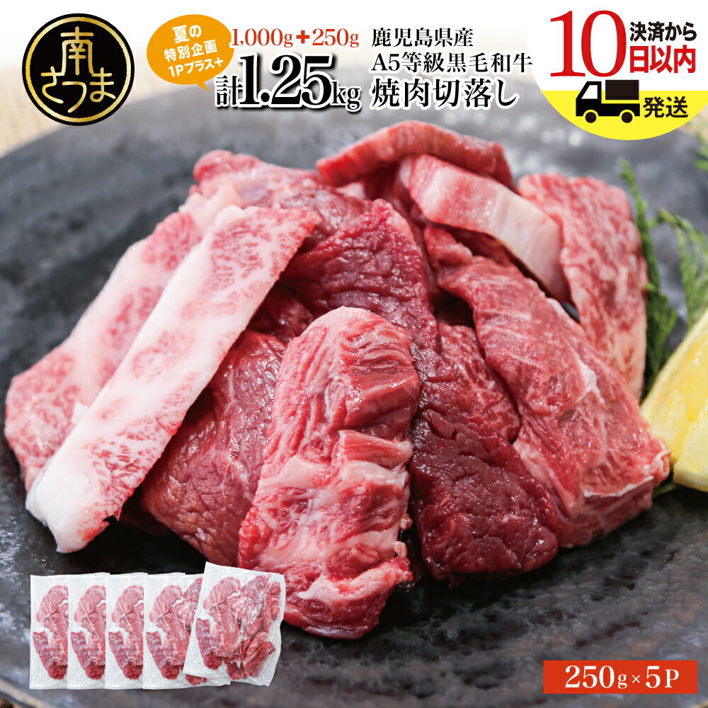 【ふるさと納税】★1Pプラス★ 鹿児島県産 A5等級 黒毛和牛 焼肉 切り落とし 計1.25kg（250g×5P）【数量限定・期間限定：8月31日まで！】 夏の生活応援 特別企画 国産牛 牛肉 国産 焼き肉 カミチク 切落し おまかせ BBQ バーベキュー 小分けパック 冷凍 南さつま市 送料無料