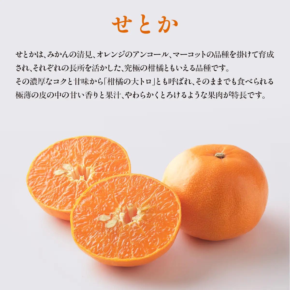 【先行予約】せとか5kg ※離島への配送不可 （2027年2月10日より順次発送予定） IKTAG004