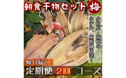 【毎月定期便2回】小田原、箱根の旅館、ホテル御用達！朝食干物セット 梅【 まぐろや 神奈川県小田原市 】