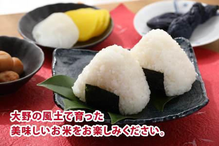 名水の里 越前大野の棚田清流米コシヒカリ 2kg×2袋 減農薬 減化学肥料