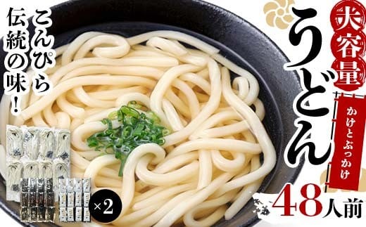 大容量 うどん 48人前【かけとぶっかけ】 麺 手打ち 生麺 うどん うどんつゆ かけつゆ 食品 名産品 四国 F5J-963