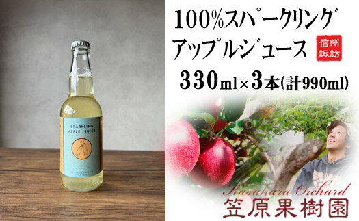 【ふるさと納税】100％スパークリングアップルジュース 3本入り(330ml×3本)／ 笠原果樹園 スパークリングアップルジュース 炭酸入り 炭酸 瓶 瓶詰め 長野県産 産地直送 ギフト プレゼント りんご リンゴ 林檎 アップル ジュース 信州 長野県 諏訪市 諏訪 【80-04】