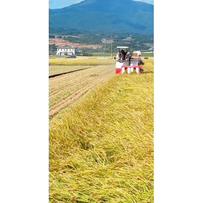 ふるさと納税 諫早市 【令和7年産】 特別栽培米・九州のこだわり米「にこまる」　白米9kg |  | 01