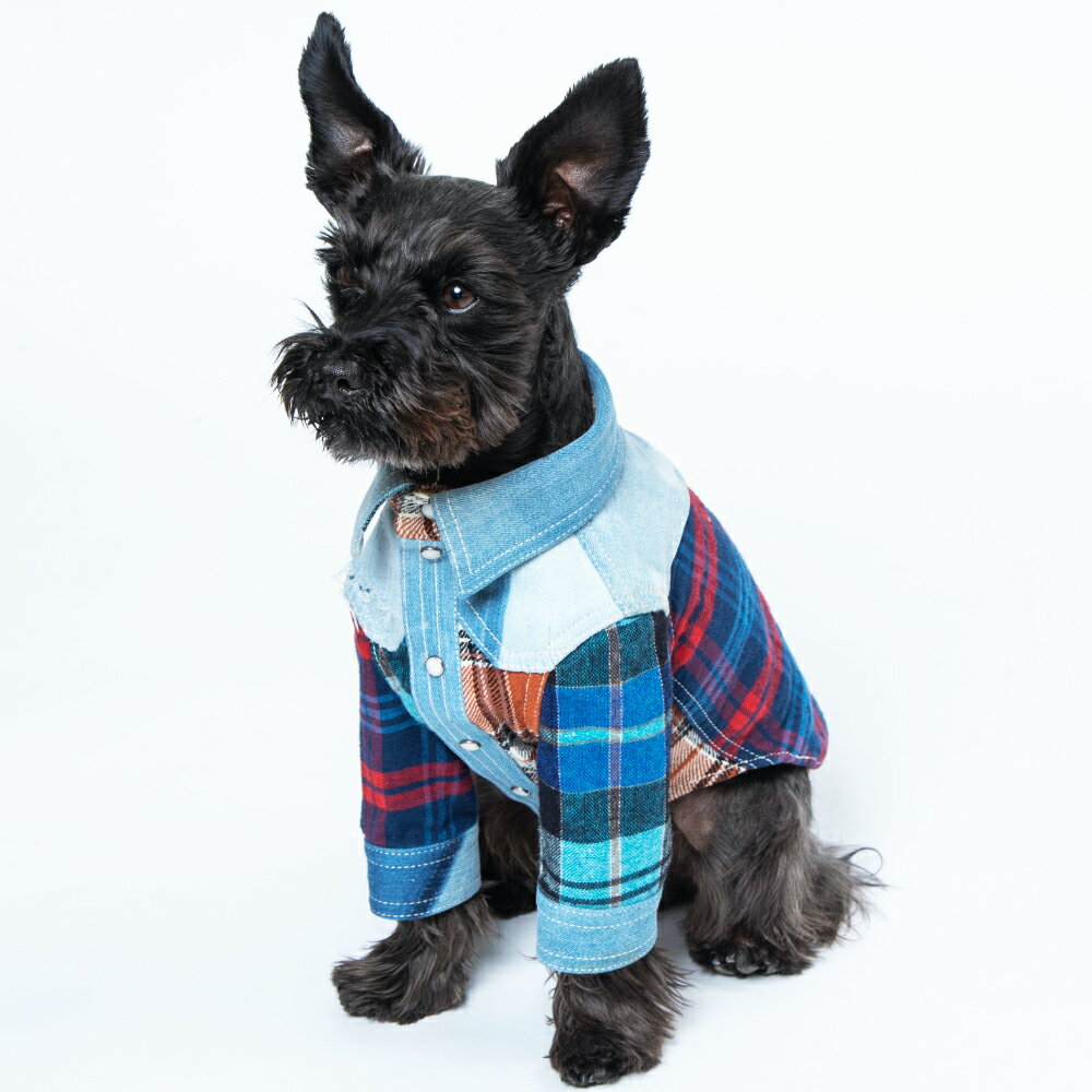 【ふるさと納税】愛犬用シャツ「デニチェックシャツ」　雑貨・日用品・愛犬用シャツ・ペット服