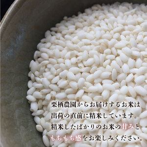 玄米 20kg こしひかり ひのひかり ブランド米 糖質制限 農家直送 令和5年産 デトックス