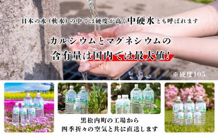 【定期便 3カ月】黒松内銘水 水彩の森 500ml×48本（2箱）北海道 ミネラルウォーター 天然水 国産 国内 硬水 中硬水 ナチュラル ミネラル 天然水 黒松内町 アウトドア キャンプ 飲料水 防