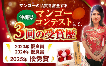 【優良賞受賞】沖縄県産 完熟マンゴー 優品 2kg (4〜6玉) マンゴー 沖縄 果物 フルーツ ギフト 沖縄市 / MAIFARM[BCAN004]