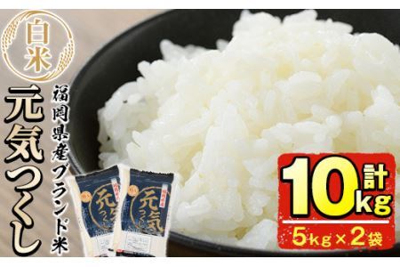 ＜令和7年産＞福岡県産ブランド米「元気つくし」白米(計10kg・5kg×2袋)お米 10キロ ごはん ご飯【ksg0378】【朝ごはん本舗】