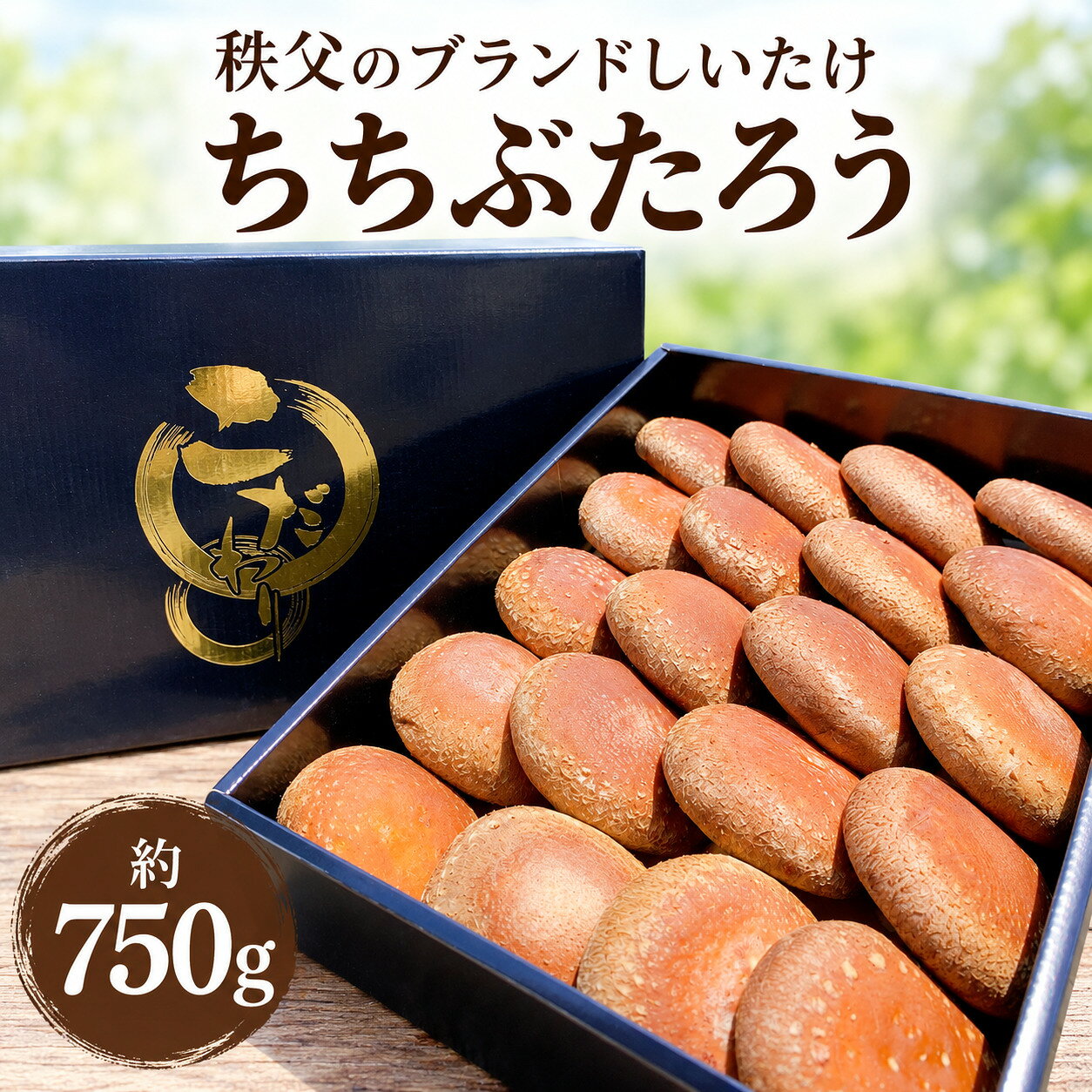 【ふるさと納税】 秩父のブランドしいたけ ちちぶたろう　菌床しいたけ約750g ／ 椎茸 肉厚 送料無料 埼玉県 特産 No.221
