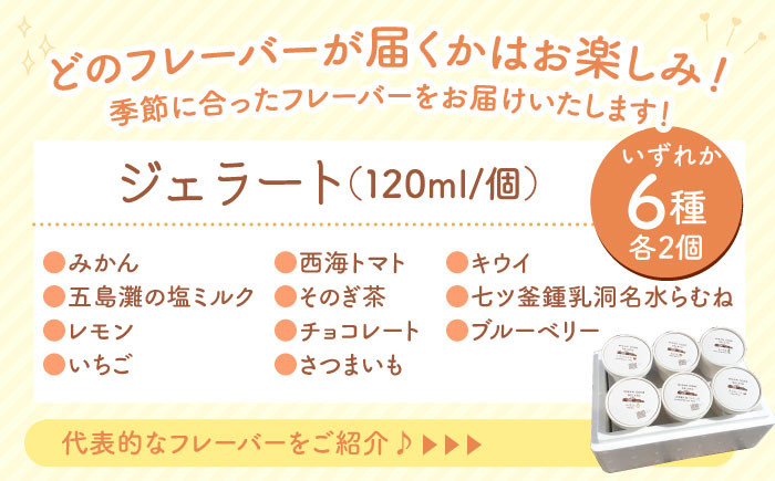 ジェラート 12個